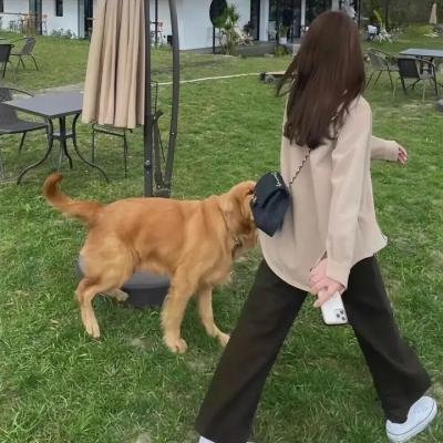 踮起脚尖靠近你